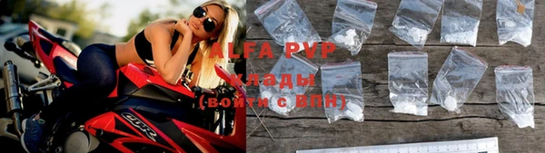 шишки Абаза
