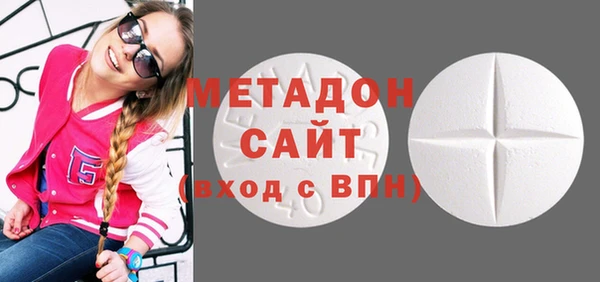 шишки Абаза