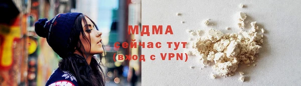 шишки Абаза