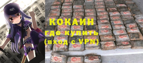 шишки Абаза