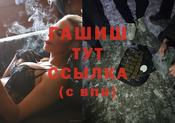 шишки Абаза