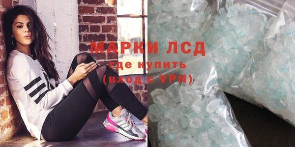 шишки Абаза