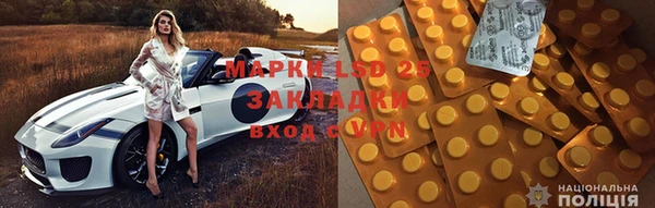 шишки Абаза