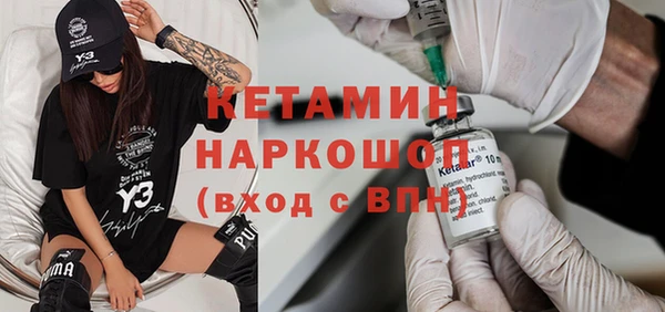 шишки Абаза